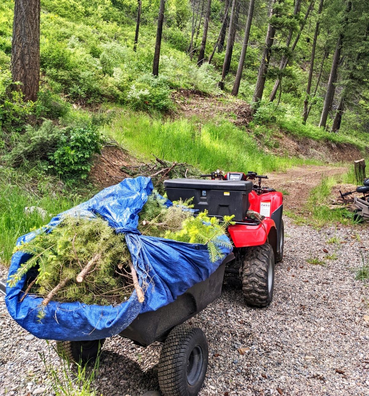 Wildfire Preparedness Starts at Home