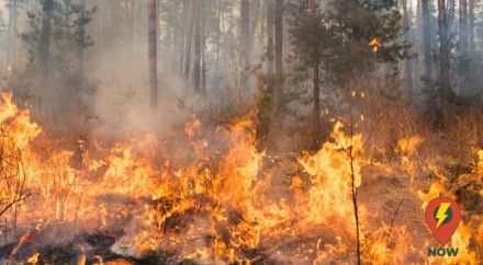 Closed Fire Season Begins May 10